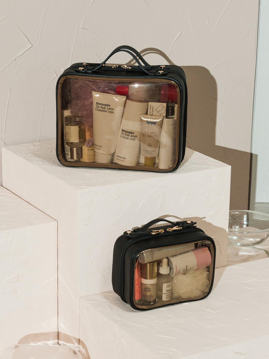 Large Clear Cosmetics Case