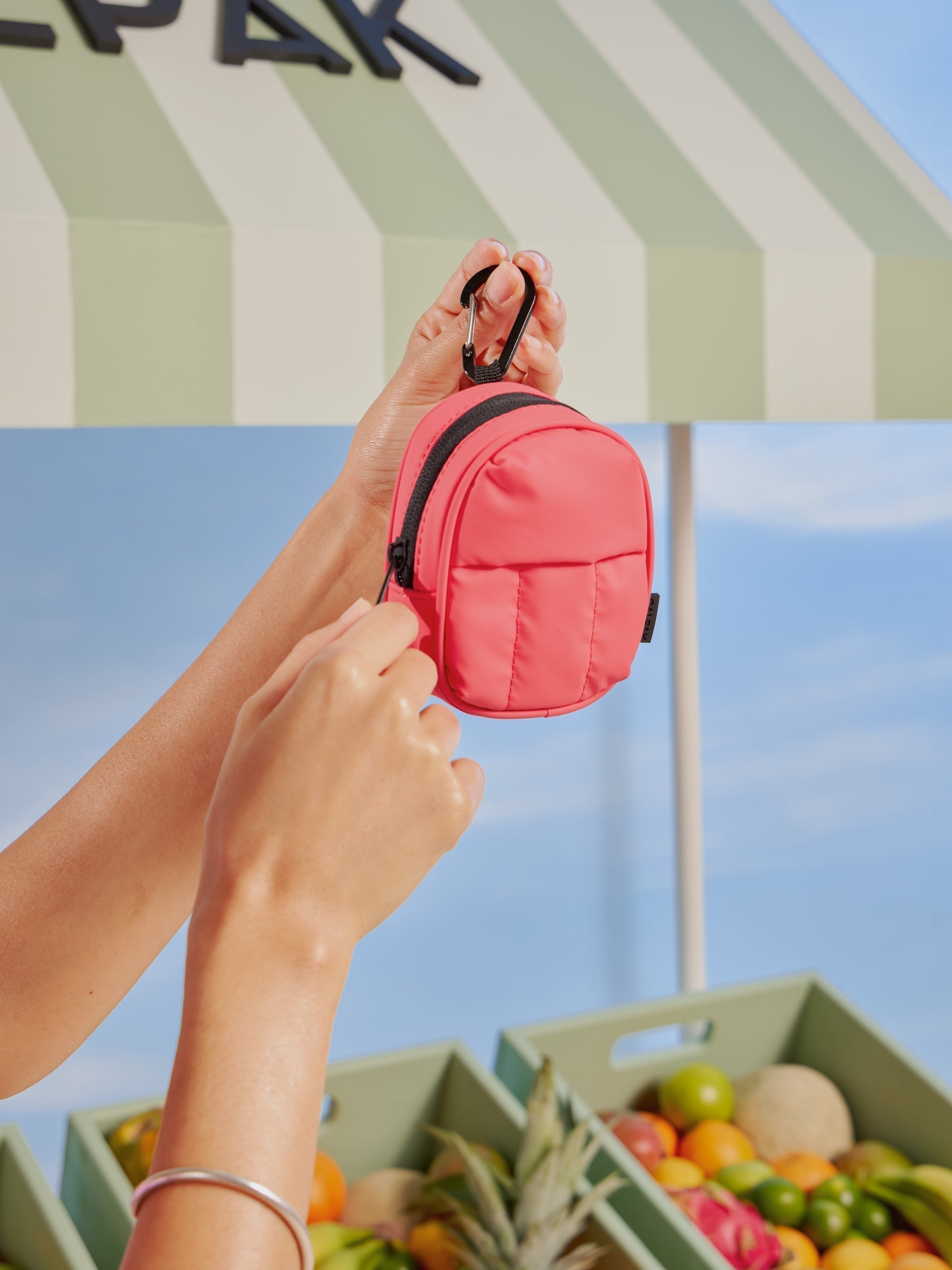 Luka Backpack Zip Bag Charm