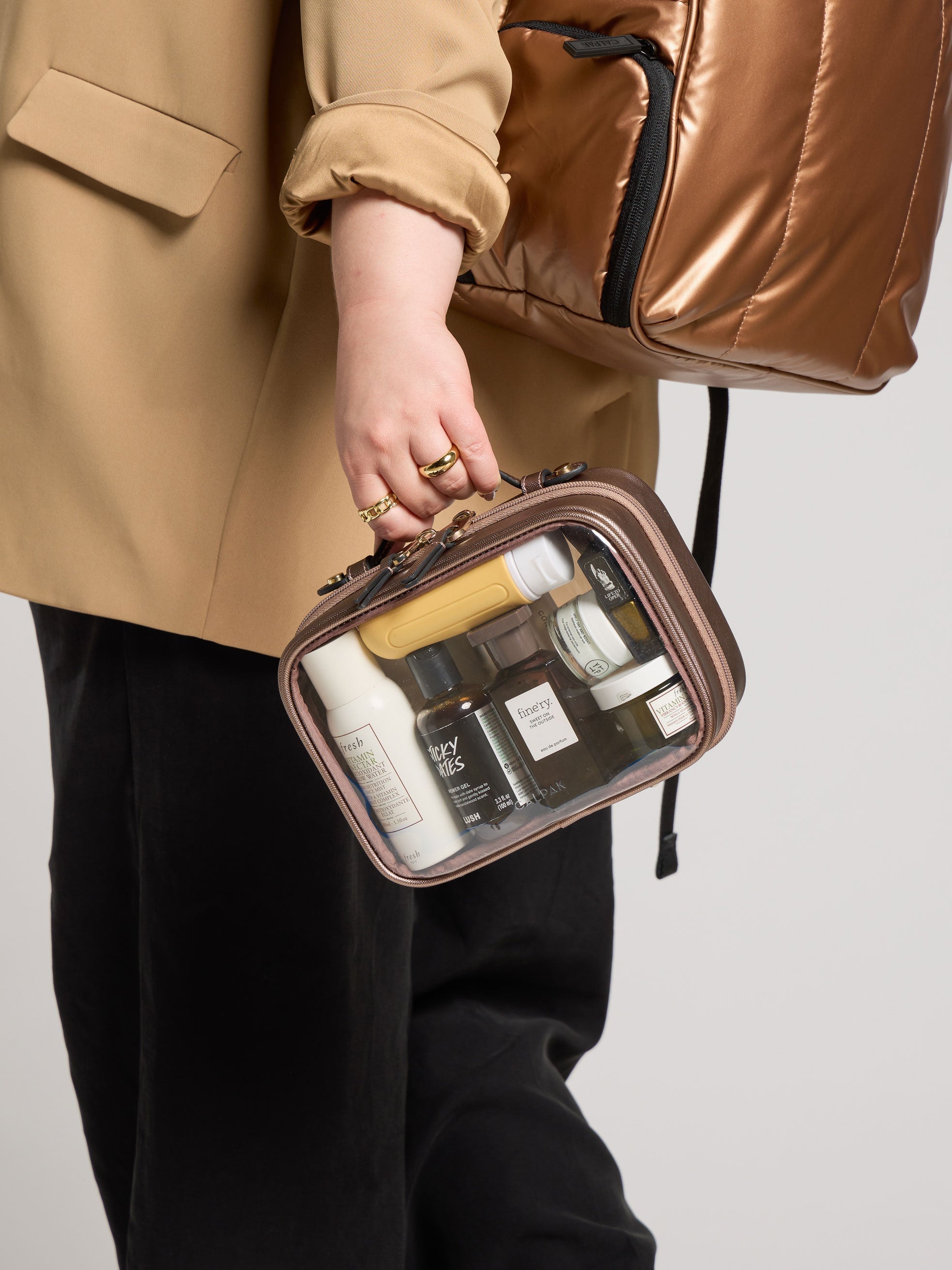 Small Clear Cosmetics Case