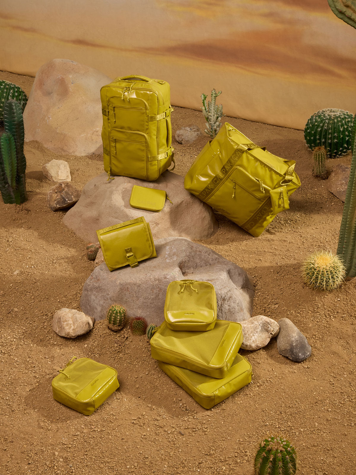 Terra 5-Piece Packing Cube Set